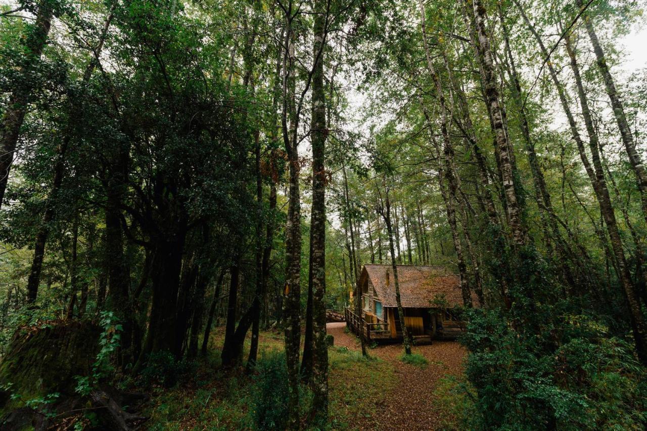 Huilo Huilo Cabanas Del Bosque 푸에르토 푸이 객실 사진