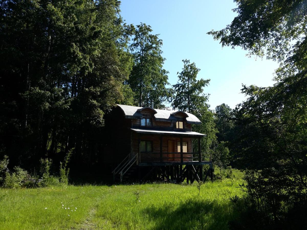 Huilo Huilo Cabanas Del Bosque 푸에르토 푸이 외부 사진
