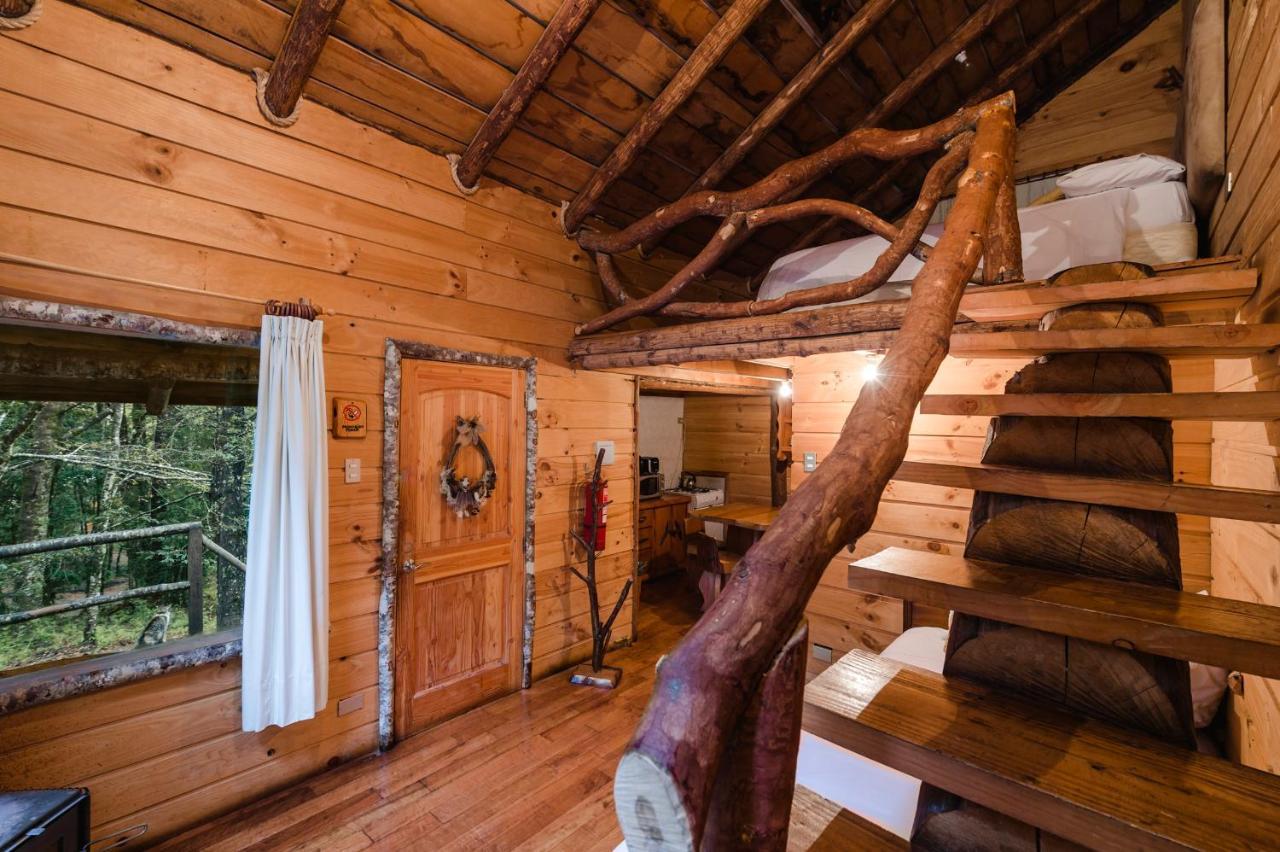 Huilo Huilo Cabanas Del Bosque 푸에르토 푸이 외부 사진